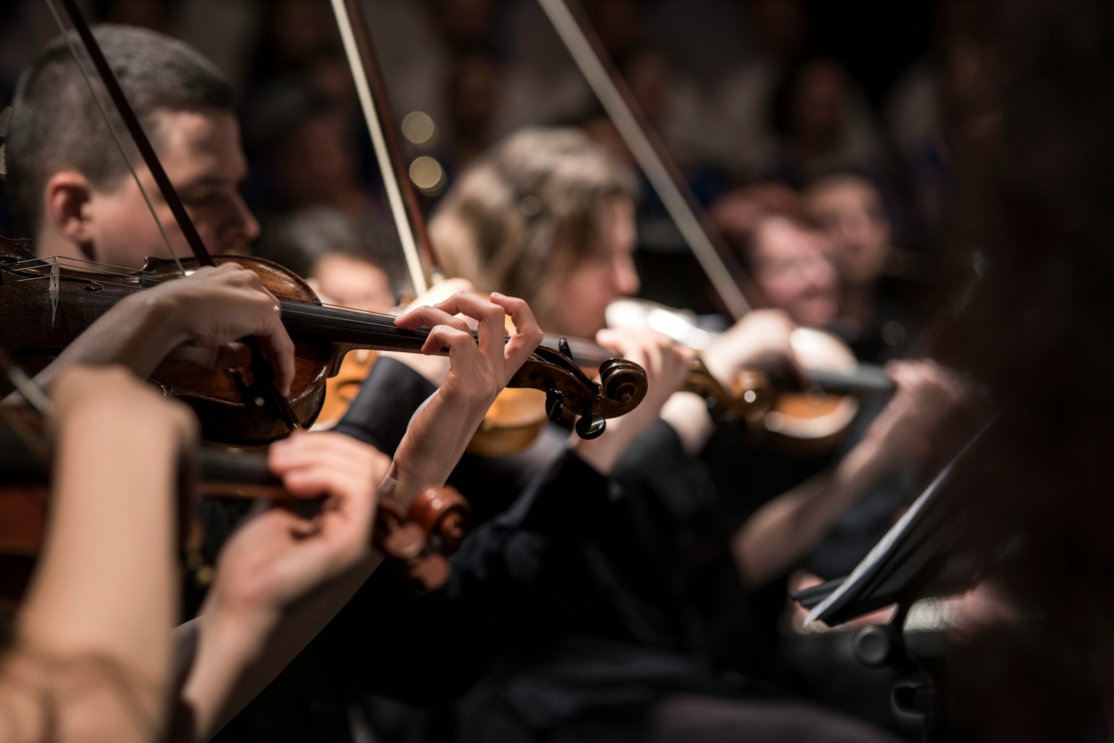 Concert Mozarthaus Passion Vienne musique classique