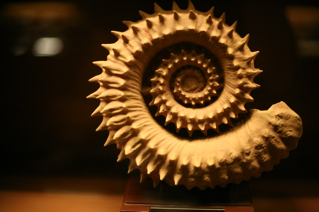 Musée d’histoire naturelle Passion Vienne musée histoire naturelle vienne