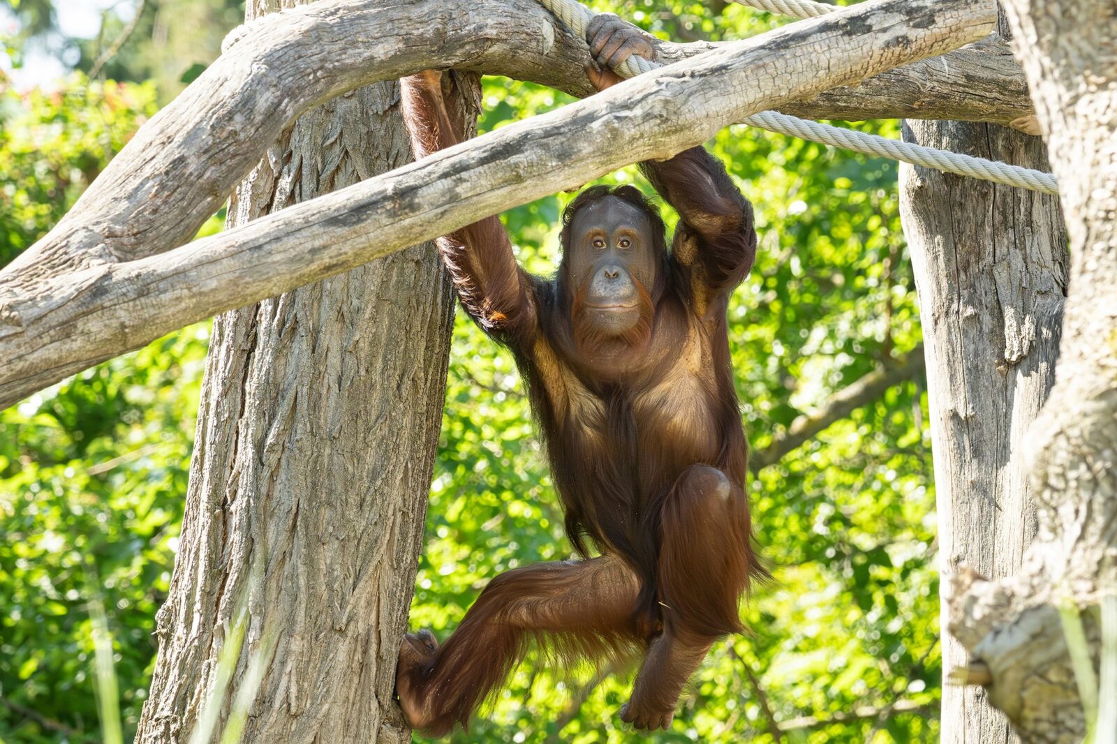 Zoo Passion Vienne