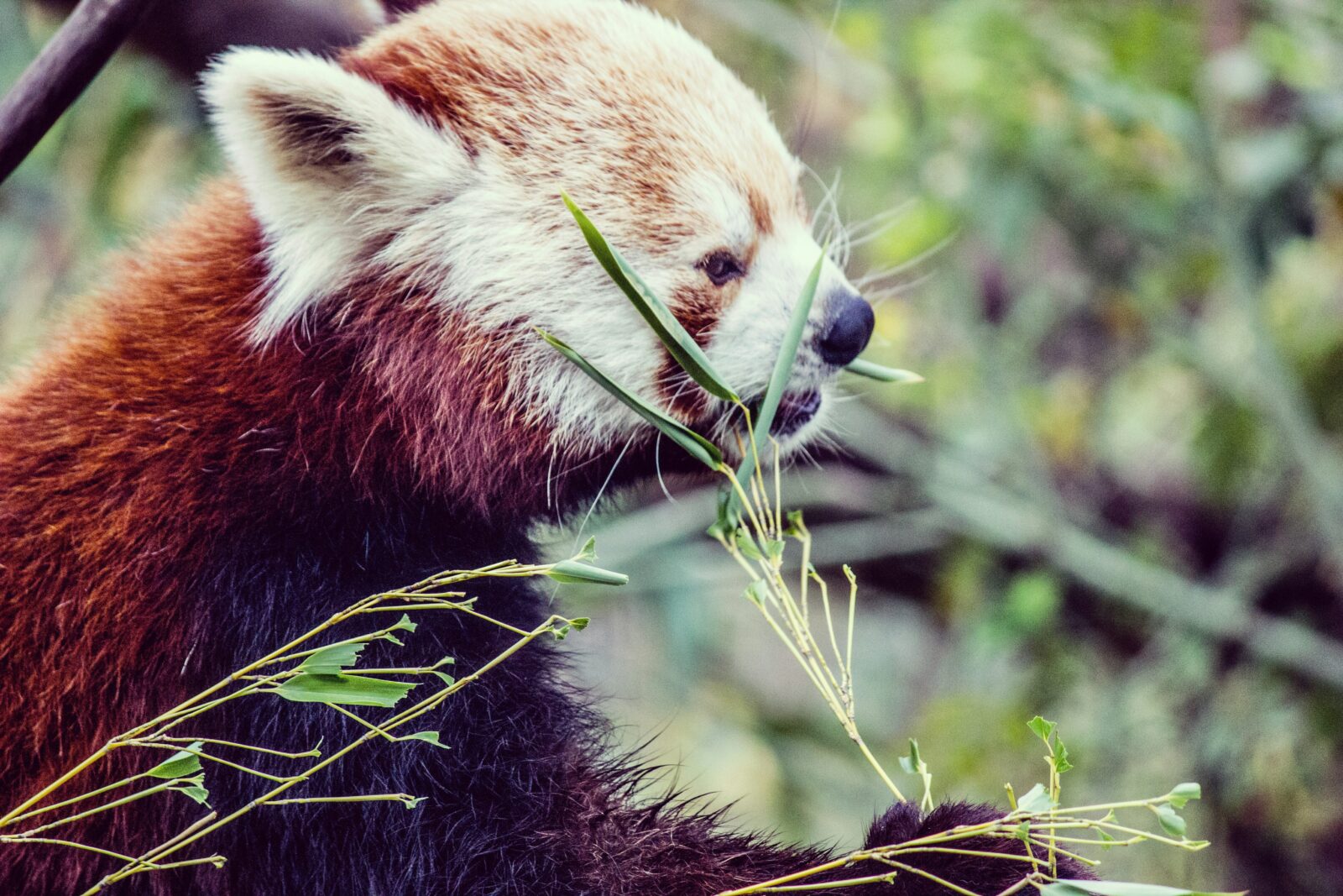Zoo Passion Vienne