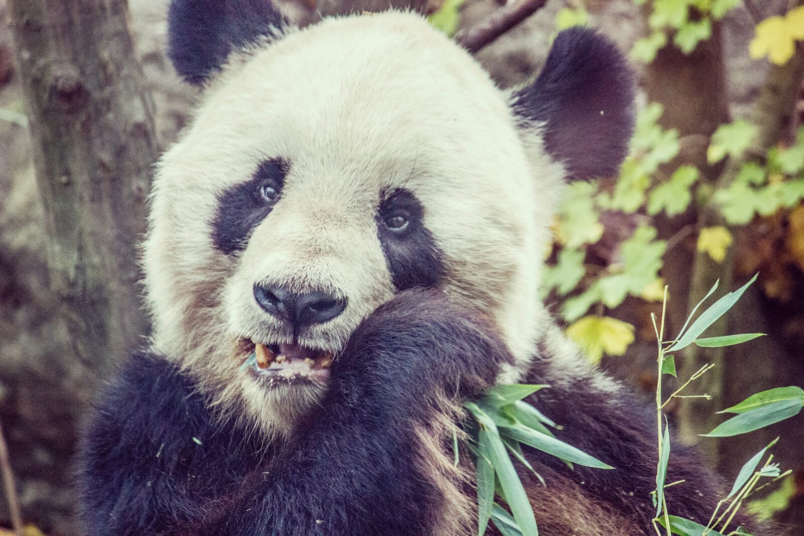 Zoo Passion Vienne