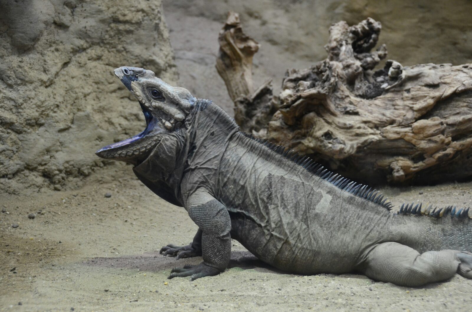 Zoo Passion Vienne