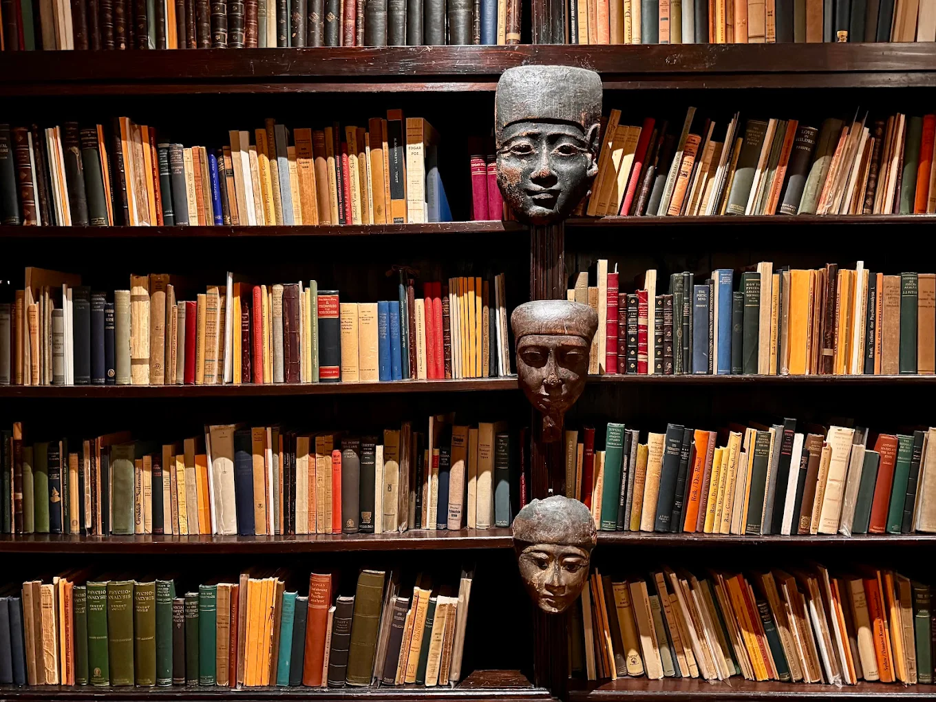Musée Sigmund Freud Passion Vienne Sigmund Freud